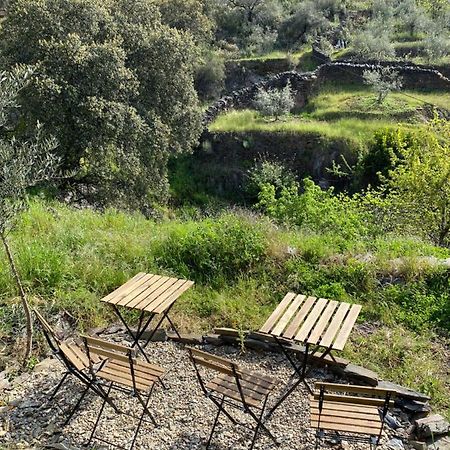 Casas Rurales Prunus Avium Caminomorisco Εξωτερικό φωτογραφία
